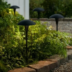 John Timberland Large Mushroom 18" High Black Low Voltage LED Path Light -John Timberland Shop GUEST dfbaf188 b57d 4bca a86b cbf76ed2b13f